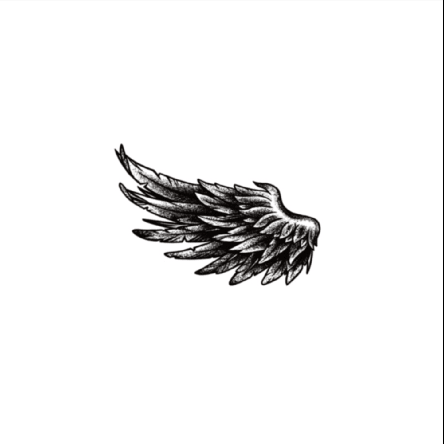 Angel Wing Semi-Permanent Tattoo - StiCool