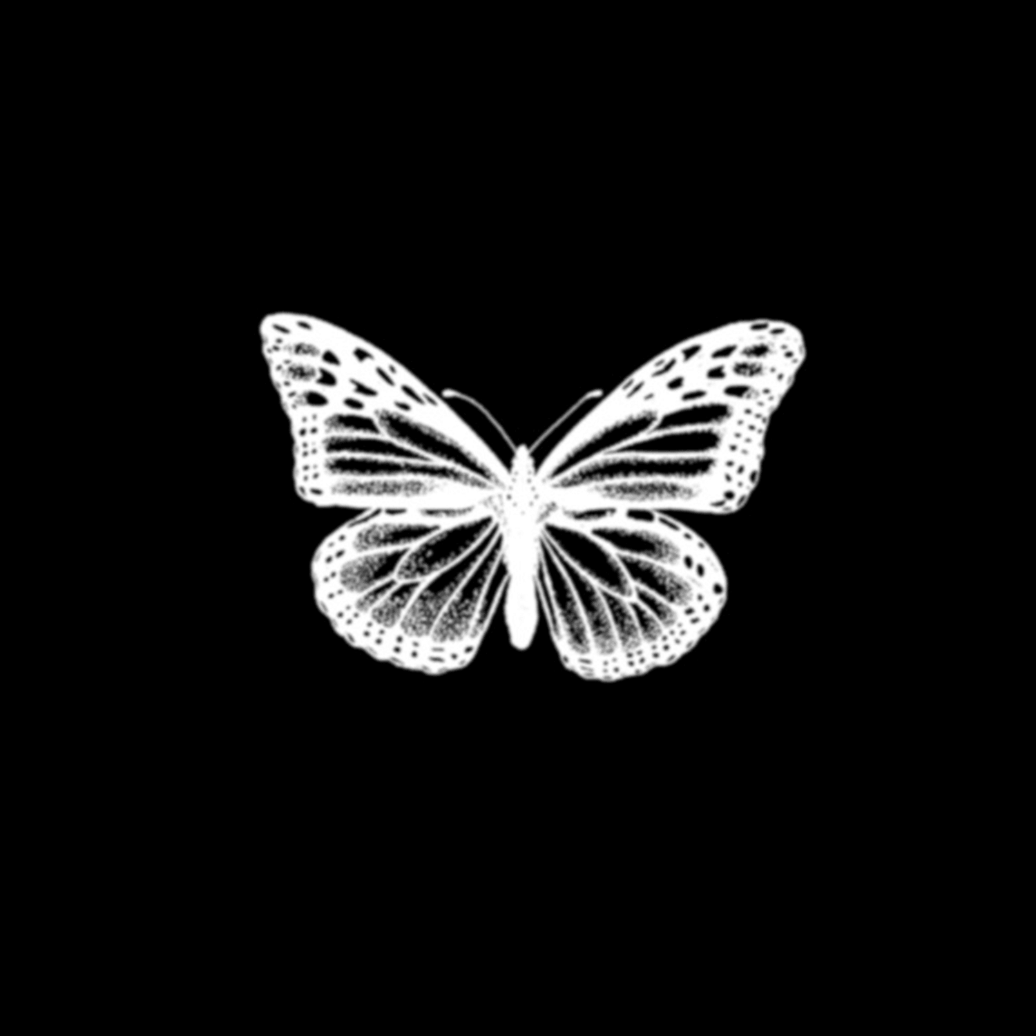 Flying Butterfly Semi-Permanent Tattoo - StiCool