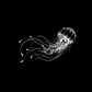 Jellyfish Semi-Permanent Tattoo - StiCool